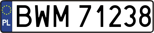 BWM71238