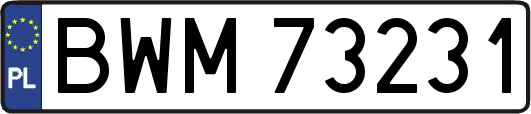 BWM73231