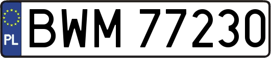 BWM77230
