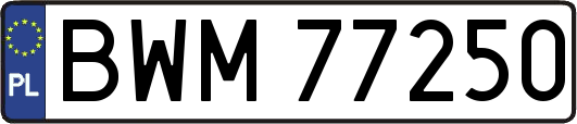 BWM77250