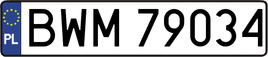 BWM79034