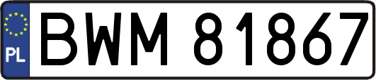 BWM81867