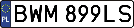 BWM899LS