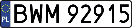 BWM92915