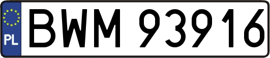 BWM93916