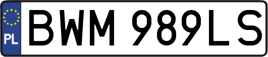 BWM989LS