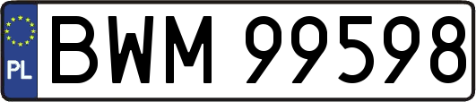 BWM99598
