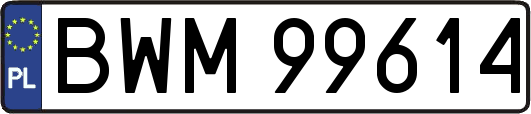 BWM99614