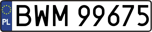 BWM99675