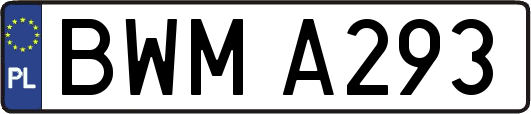 BWMA293