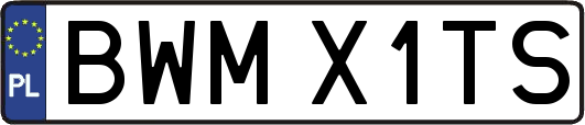BWMX1TS