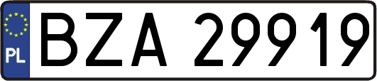 BZA29919