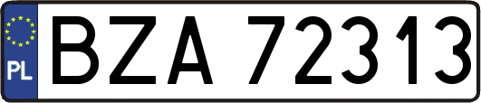 BZA72313