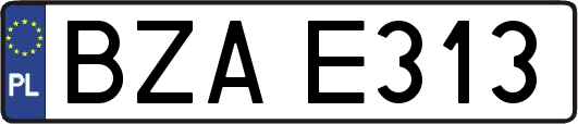 BZAE313