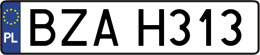BZAH313