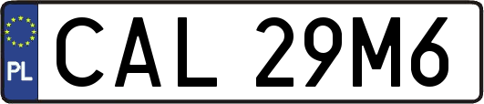 CAL29M6
