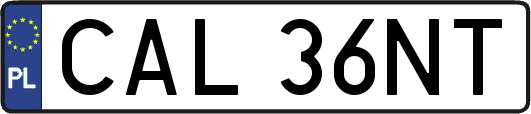 CAL36NT