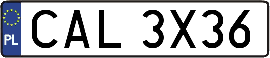 CAL3X36
