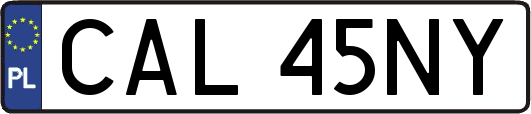 CAL45NY