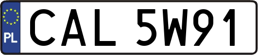 CAL5W91