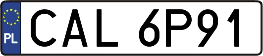 CAL6P91