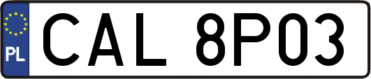 CAL8P03