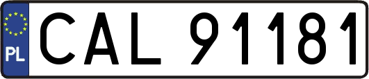 CAL91181