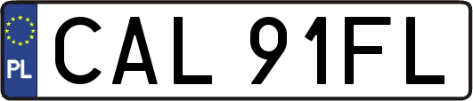 CAL91FL