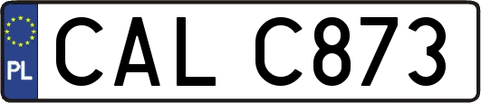 CALC873