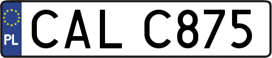 CALC875
