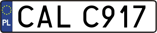 CALC917