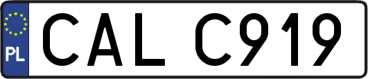 CALC919