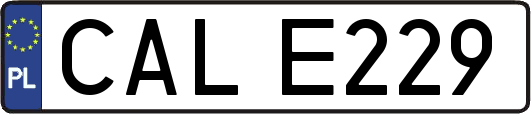 CALE229