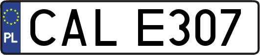 CALE307