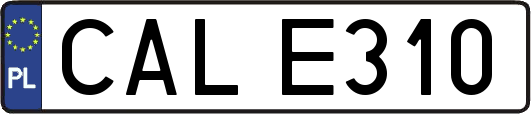 CALE310