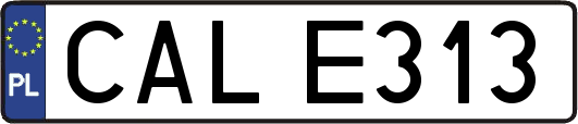 CALE313