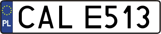 CALE513