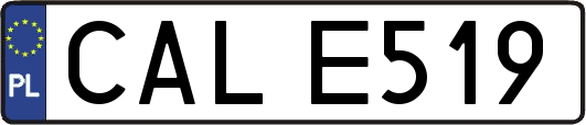 CALE519