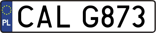 CALG873