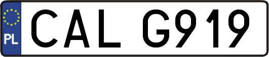 CALG919