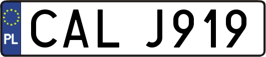 CALJ919