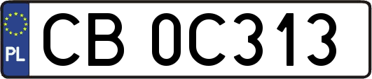 CB0C313