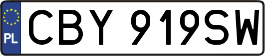 CBY919SW