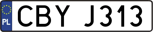 CBYJ313