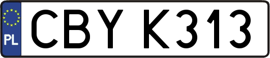 CBYK313