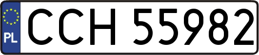 CCH55982