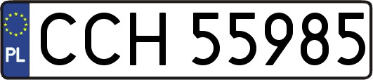 CCH55985