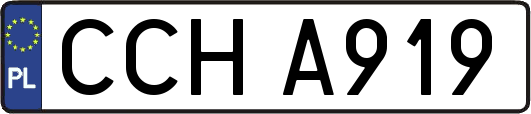 CCHA919
