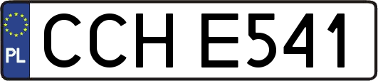 CCHE541