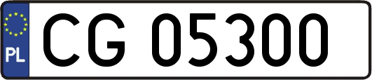 CG05300